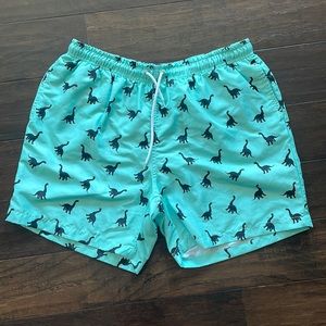 Green Dinosaur Swim Trunks